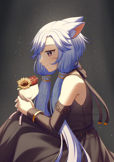 Commission: Safi_scores Commission: Safi_scores